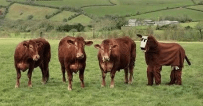 Screen Shot 2013-05-01 at 11.23.46