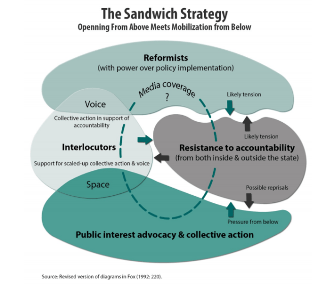 sandwichstrategyfox